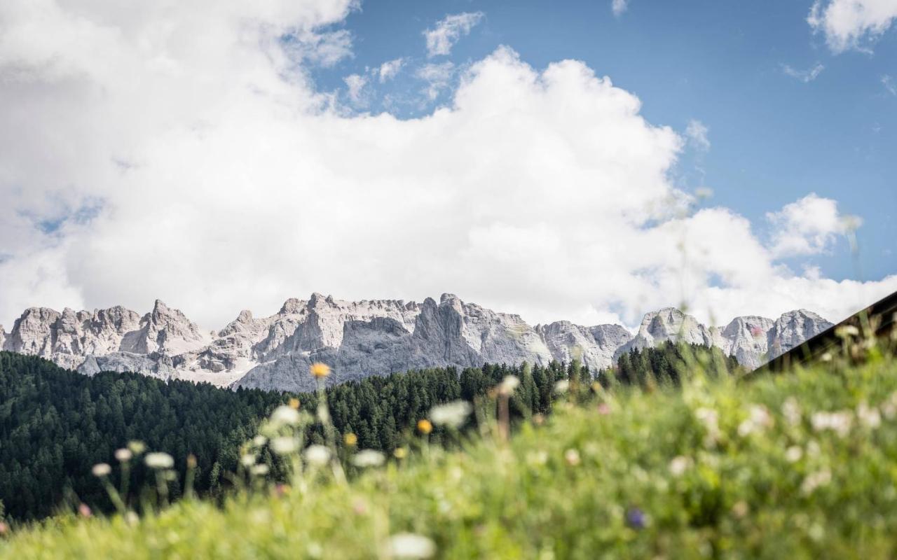 Cadepunt The Dolomites Lodge سيلفا دي فال جاردينا المظهر الخارجي الصورة